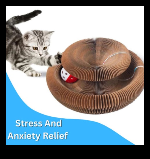 Whisker Wonders Συνέχεια: Ανακαλύπτοντας νέα και συναρπαστικά αξεσουάρ για γάτες