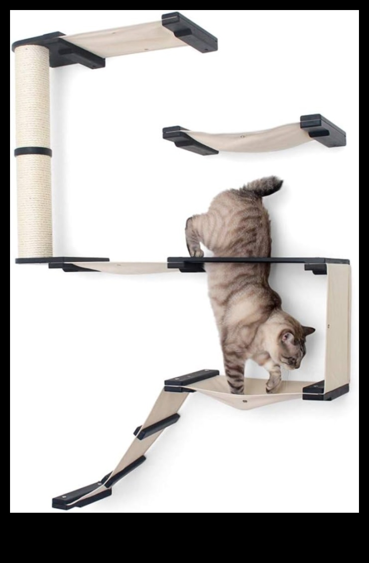 Cat Condo Crafting Συνέχεια: Ενίσχυση της κάθετης εξερεύνησης