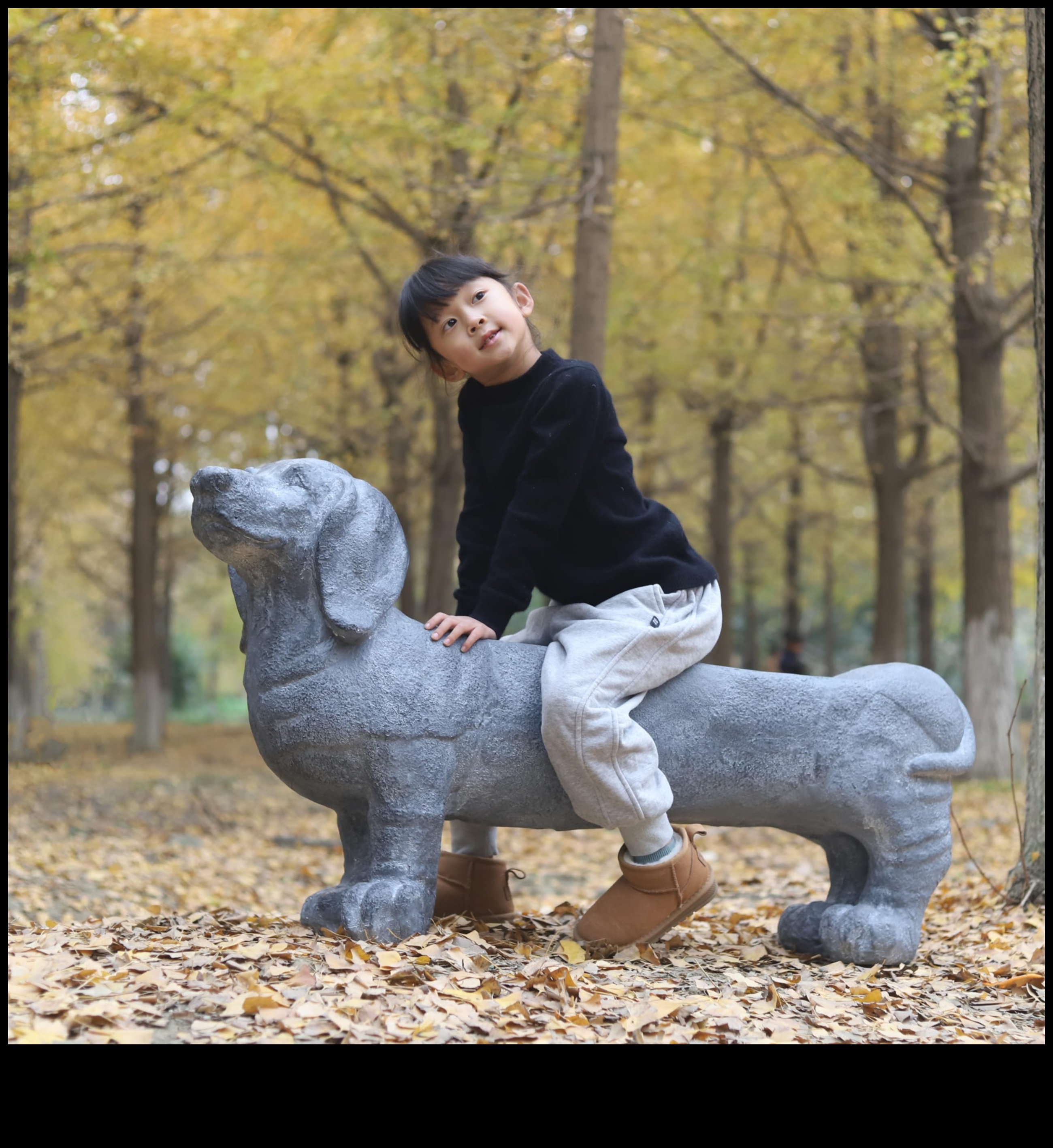 Doggy Decor Deluxe: Διατηρώντας μια φρέσκια και υπέροχη συλλογή αξεσουάρ