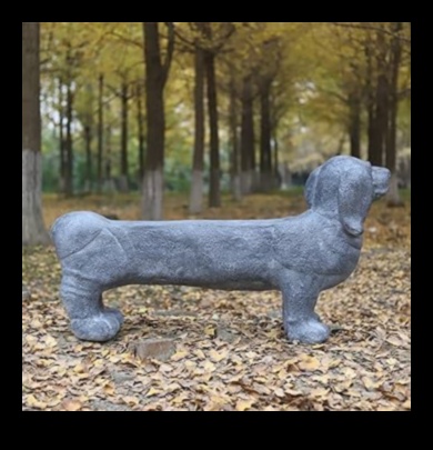 Doggy Decor Deluxe: Διατηρώντας μια φρέσκια και υπέροχη συλλογή αξεσουάρ