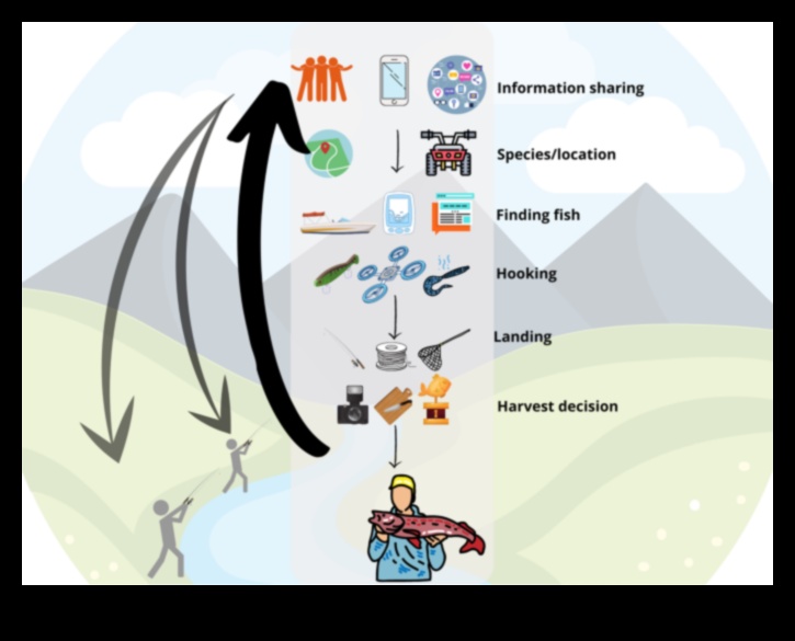 Εξέλιξη των αλιευτικών εργαλείων: Τεχνολογικές εξελίξεις για τους σύγχρονους ψαράδες