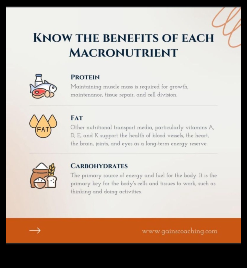 Ενέργεια καυσίμου: Ο ρόλος των μακροθρεπτικών συστατικών στη ζωτικότητα