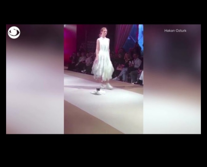 Επίδειξη μόδας αιλουροειδών: Κομψά ρούχα για μοντέρνες γάτες