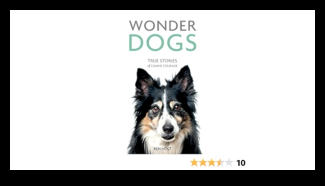 Κορυφαία Dog Tales: Stories of Canine Courage and Loyalty