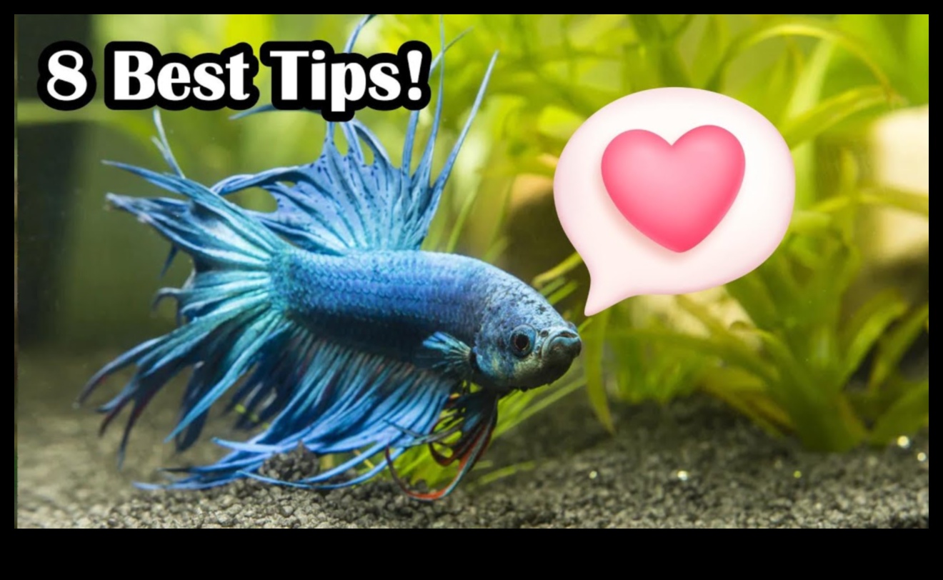 Fishy Friends: Δημιουργία δεσμών με Pet Fish