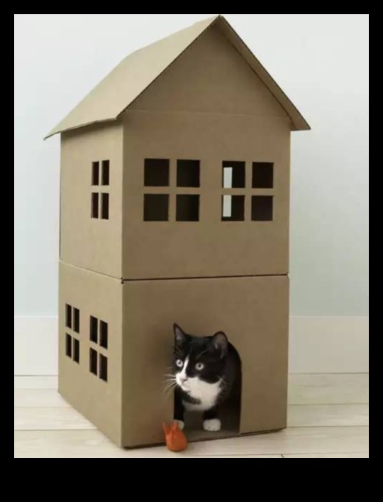 Cat Castle Crafting: Building Royal Retreats for Feline Royalty