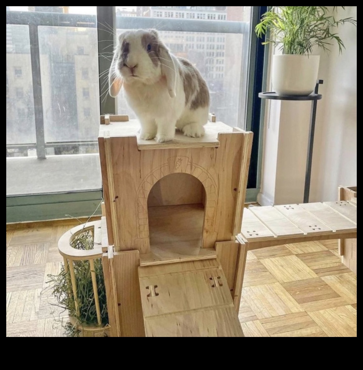 Bunny Burrow Building: DIY Hideouts for Rabbits