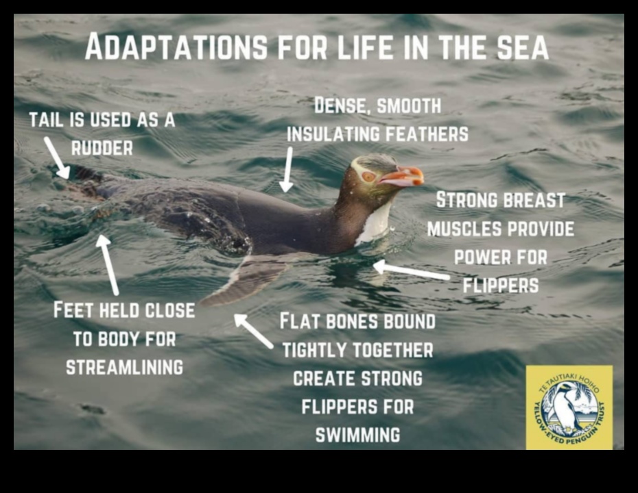 Feathered Friends Continued: Birds with Unique Adaptations for Survival