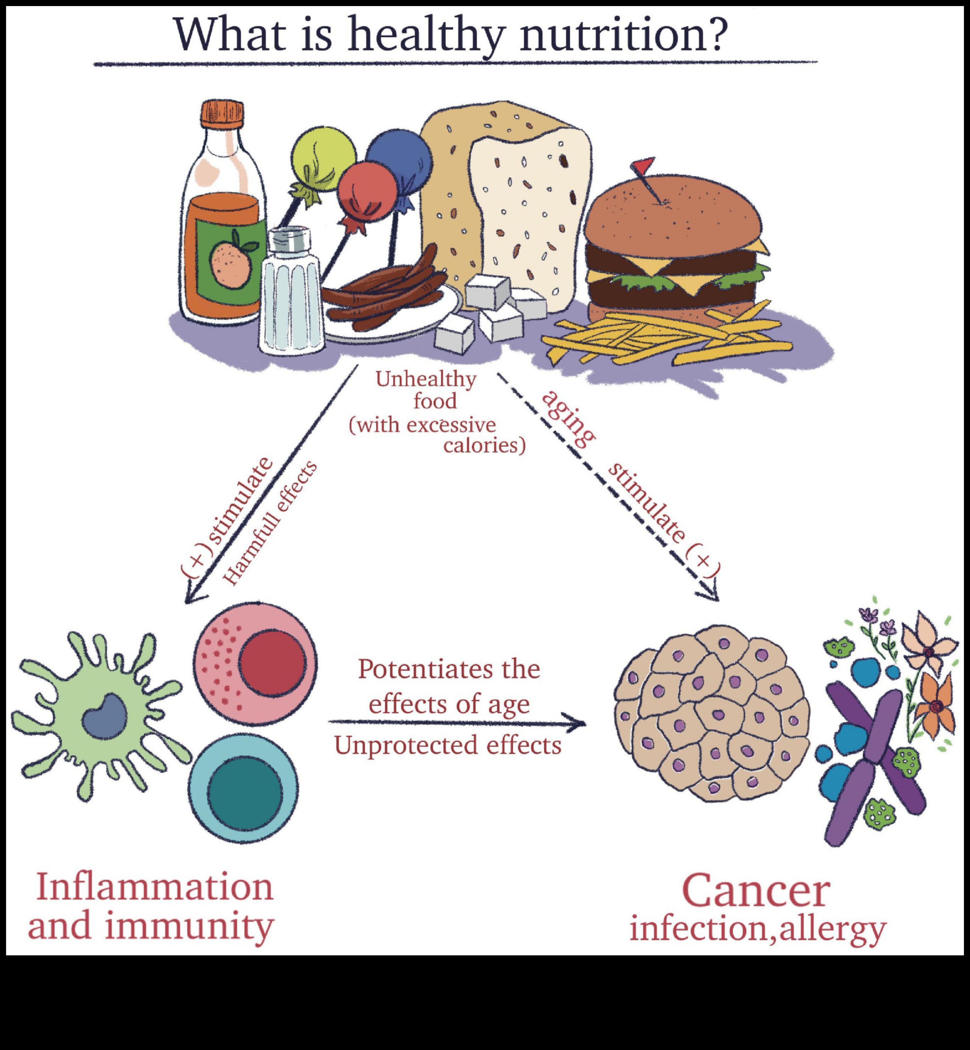 Chemical Harmony: The Role of Nutrition Biochemistry in Health