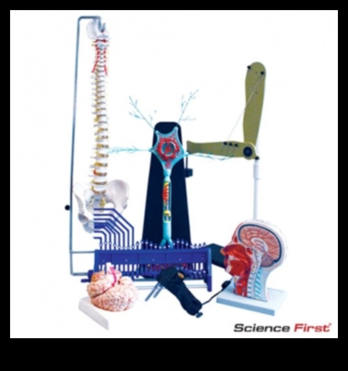 Chemical Harmony: The Role of Nutrition Biochemistry in Health