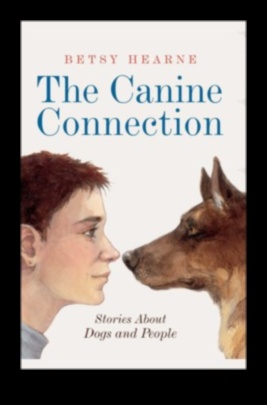 Συνδέσεις σκύλων: Χτίζοντας θετικές σχέσεις με άλλα σκυλιά