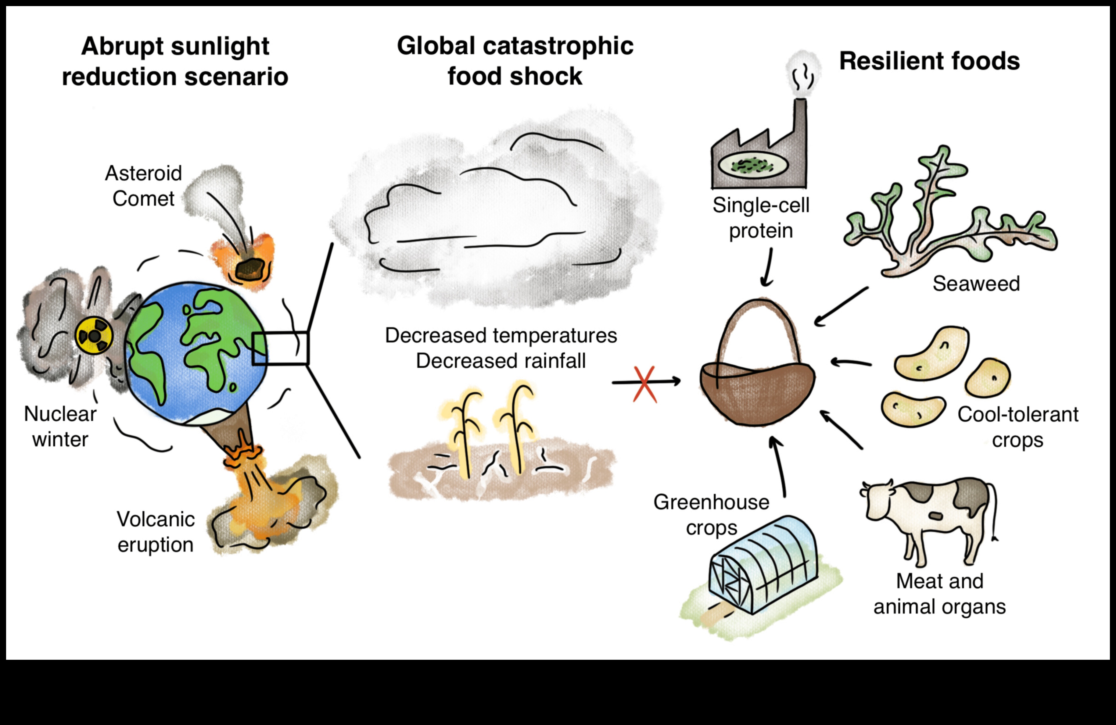 Θρεπτική ανθεκτικότητα: Ξεπερνώντας τα διατροφικά κενά στη διατροφή σας