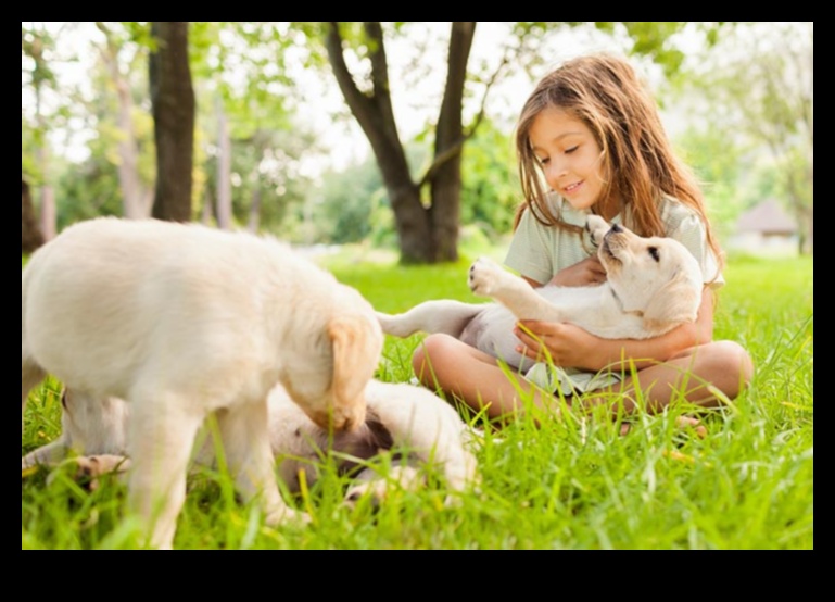 Απαραίτητα στοιχεία για το Puppy Playgroup: Κοινωνικοποιώντας το κουτάβι σας με άλλα σκυλιά