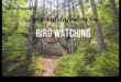 Birder's Paradise: Κορυφαίοι προορισμοί για παρατήρηση πουλιών