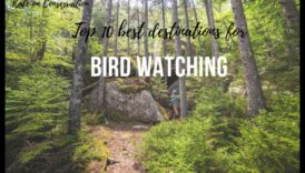 Birder's Paradise: Κορυφαίοι προορισμοί για παρατήρηση πουλιών