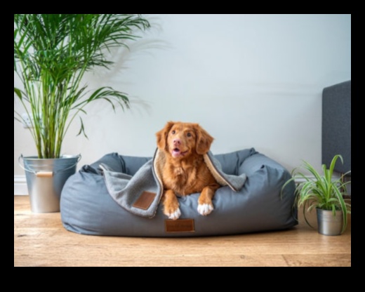 Canine Comfort: Δημιουργώντας έναν άνετο χώρο για τον σκύλο σας στο σπίτι