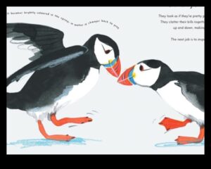 Feathered Friends Continued: Birds with Unique Adaptations for Survival