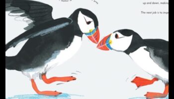 Feathered Friends Continued: Birds with Unique Adaptations for Survival