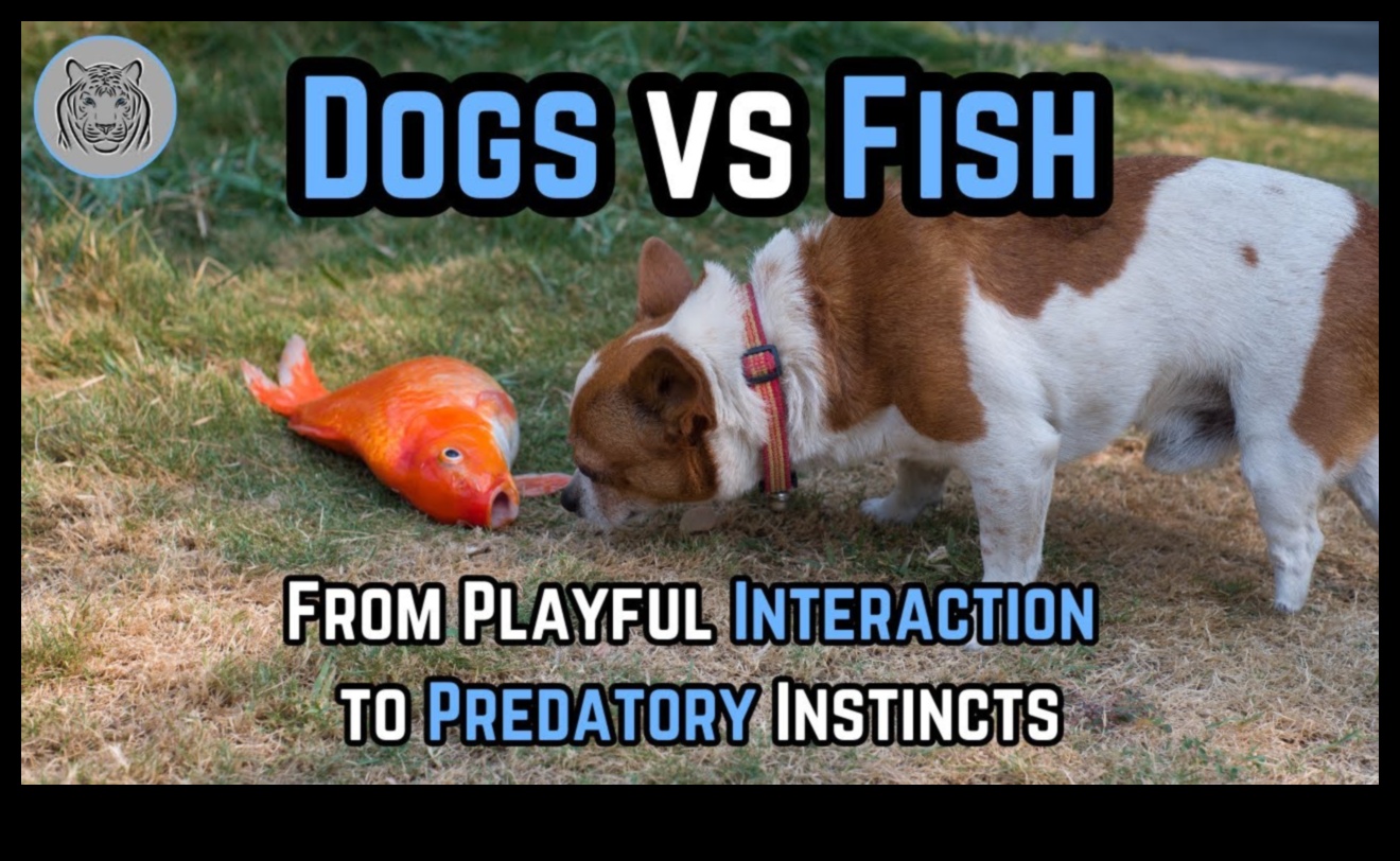 Fishy Friends: Δημιουργία δεσμών με Pet Fish