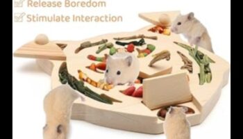 Hamster Playtime Continued: Διαδραστικά παιχνίδια για ψυχική διέγερση