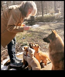 Απαραίτητα στοιχεία για το Puppy Playgroup: Κοινωνικοποιώντας το κουτάβι σας με άλλα σκυλιά