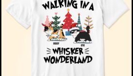 Whisker Wonderland Continue: Expanding Your Cat's Accessory Arsenal