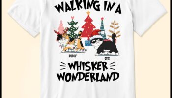 Whisker Wonderland Continue: Expanding Your Cat's Accessory Arsenal