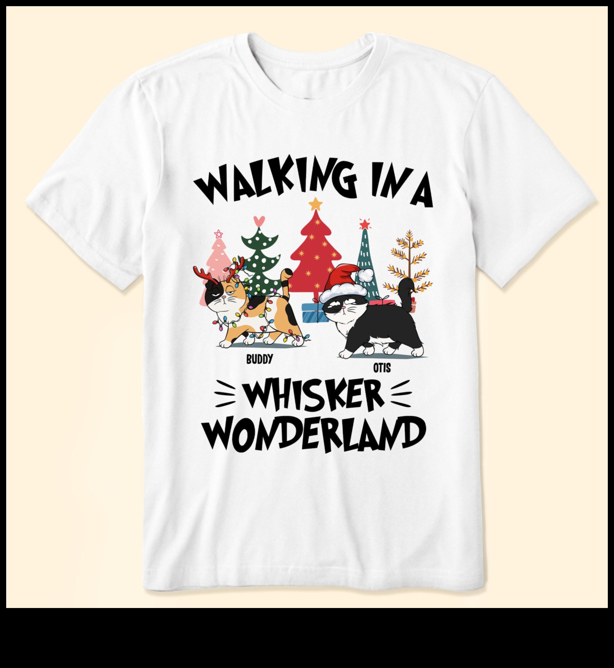 Whisker Wonderland Continue: Expanding Your Cat's Accessory Arsenal