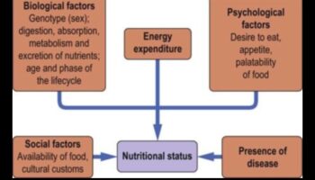 Η εξίσωση των θρεπτικών συστατικών: Εξισορρόπηση της υγείας με τη διατροφική βιοχημεία