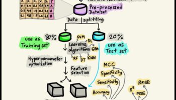 Mastering ML Minimalism: Streamlining Solutions for Maximum Impact