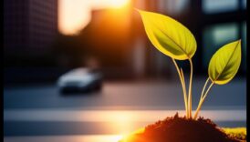 Renewable Sparks: Igniting Innovation in Sustainable Solutions