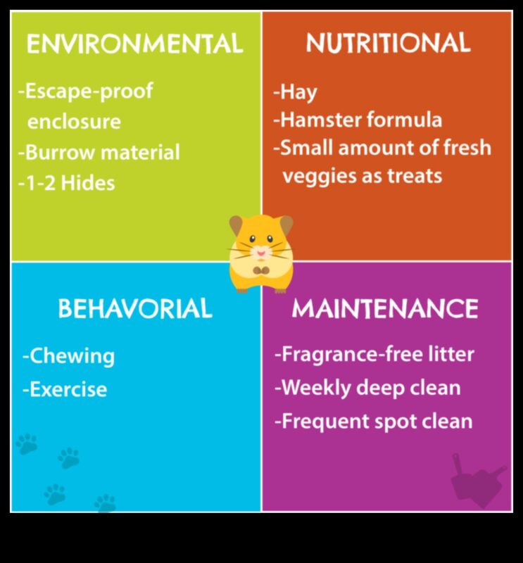 Προφυλάξεις για την ασφάλεια του χάμστερ: Δημιουργία περιβαλλόντων χωρίς κινδύνους