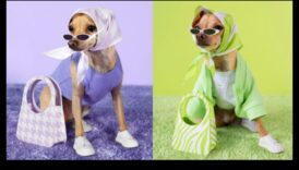 Canine Couturiers: Σχεδιαστές που δημιουργούν κομψή μόδα για σκύλους