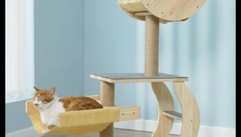 Cat Condo Crafting Συνέχεια: Ενίσχυση της κάθετης εξερεύνησης