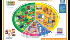 Φάτε καλά, ζήστε καλά: Ο ακρογωνιαίος λίθος της επιτυχημένης συμβουλευτικής διατροφής