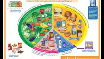 Φάτε καλά, ζήστε καλά: Ο ακρογωνιαίος λίθος της επιτυχημένης συμβουλευτικής διατροφής