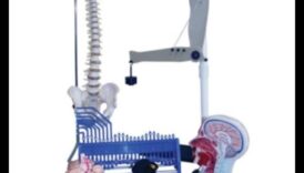 Chemical Harmony: The Role of Nutrition Biochemistry in Health